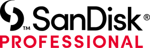 SanDisk logo